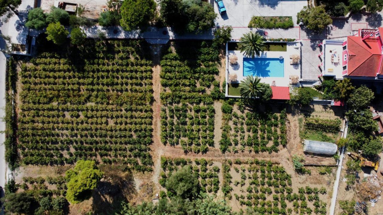 Zissis Villa & Pool 5Min Drive To Beach Kato Yerakarion المظهر الخارجي الصورة